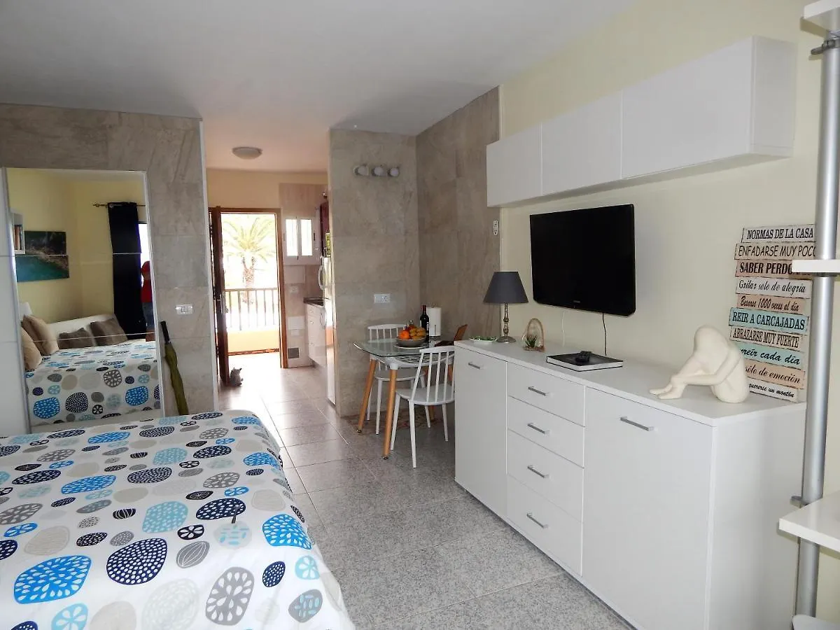 Apartment Apartamento Monis Natura Icod De Los Vinos